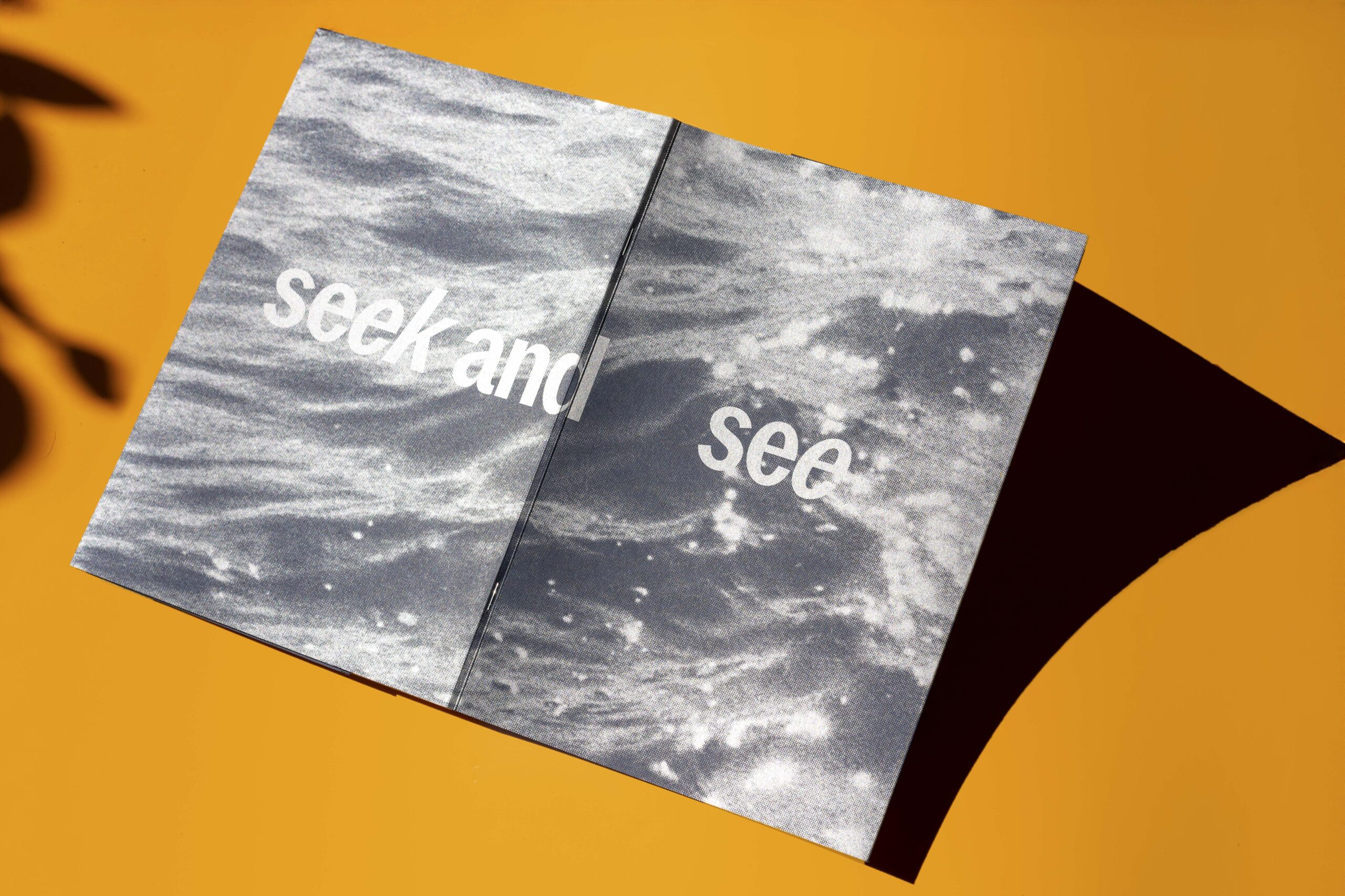 Seek and See – Hasselbach